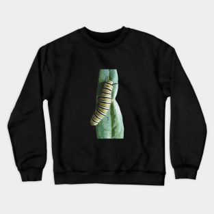 Monarch Caterpillar on a Leaf Crewneck Sweatshirt